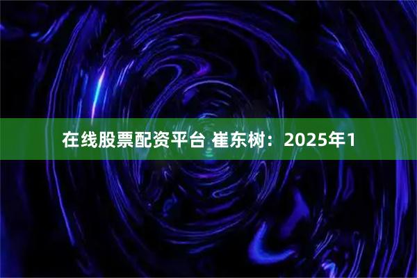 在线股票配资平台 崔东树：2025年1